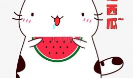 动态吃瓜壁纸下载免费,免费下载，轻松捕捉夏日炎炎中的清凉瞬间