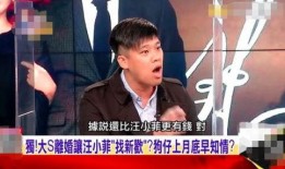 狗仔爆料汪小菲吃醋视频,狗仔爆料引发网友热议