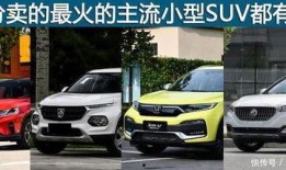 信阳新闻爆料电话,揭秘本地热点事件背后的真相