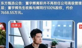 宇辉同行盼盼最新爆料新闻,揭秘行业内幕，引发热议