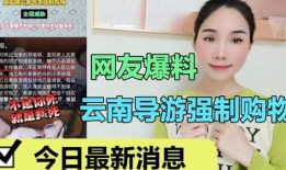 网友爆料云南导游视频大全,揭秘云南旅游背后的真实故事