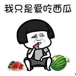 娱乐瓜都是在哪里吃的啊,明星们的“娱乐瓜”聚集地大揭秘